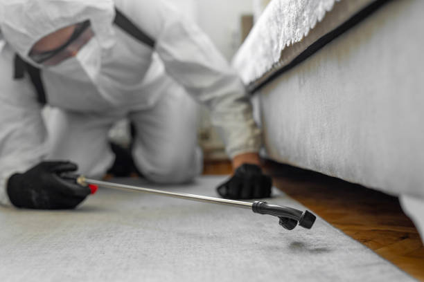 Professional Termite Control technician working in Port Isabel, TX