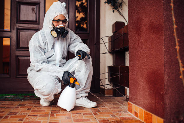 Reliable Termite Control contractor in Port Isabel, TX by Nex Pest Control
