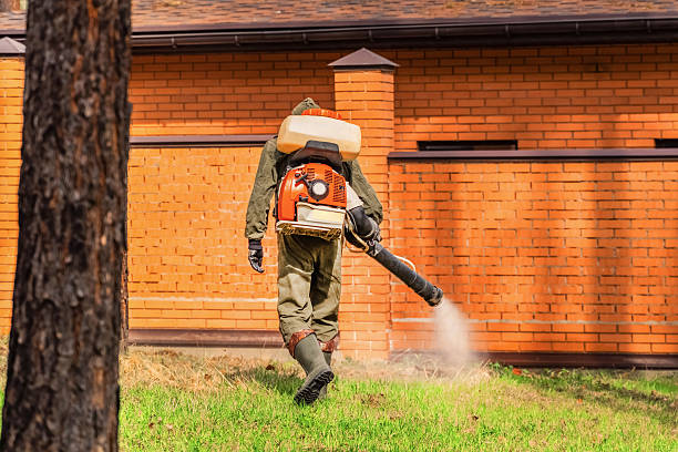 Trusted Fumigation Services service in Port Isabel, TX - Nex Pest Control
